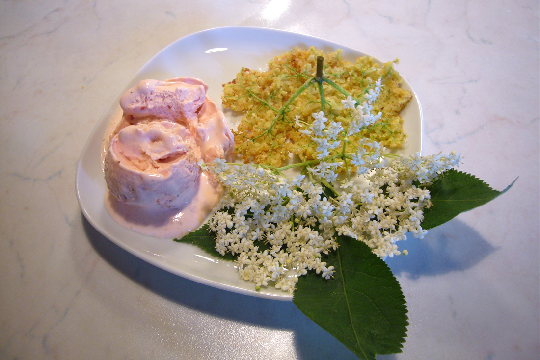 Erdbeer-Sahne Eis  mit gebackenen Holunderblüten 