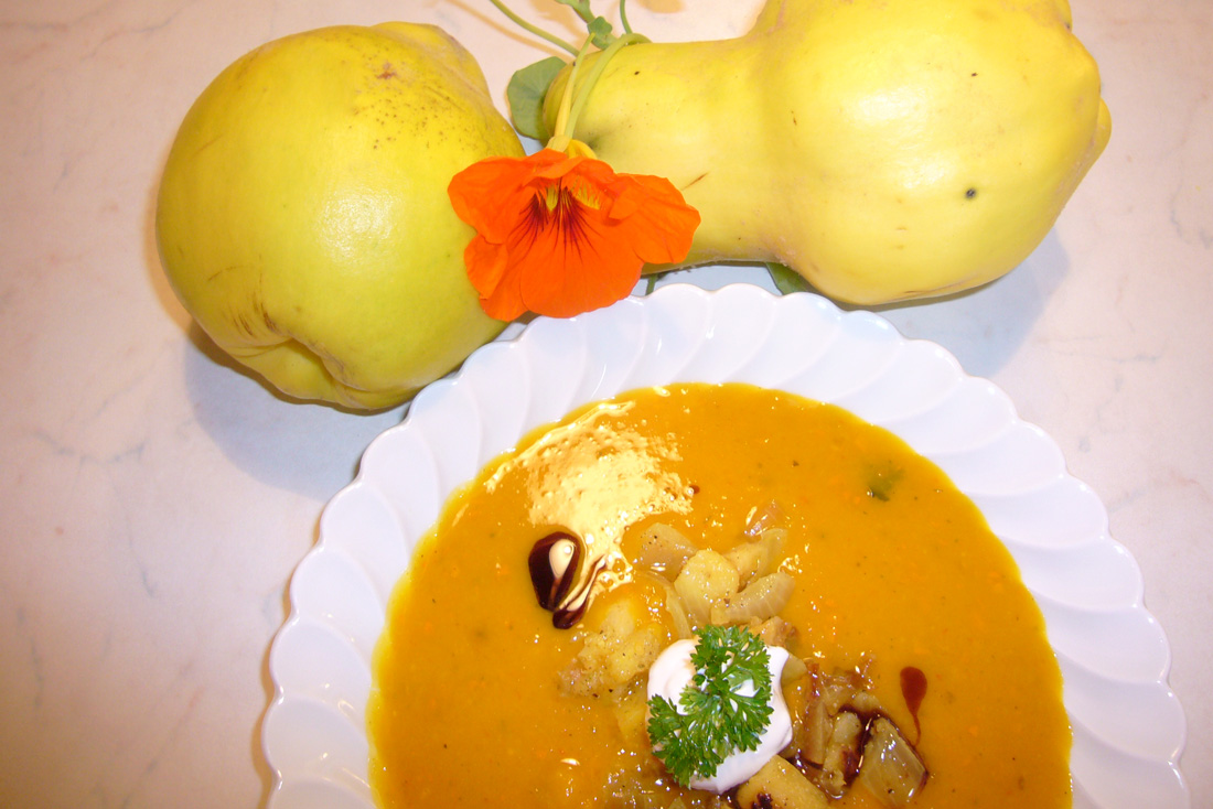 Kürbis-Quitten-Suppe