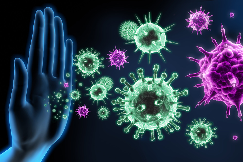 Das Immunsystem ist das biologische Abwehrsystem von höheren Lebewesen, das trotz Krankheitserregern die körperliche Unversehrtheit erhält und eine Gewebeschädigung verhindert.